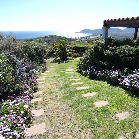 Comino Alto Agriturismo E Appartamenti Синискола Экстерьер фото