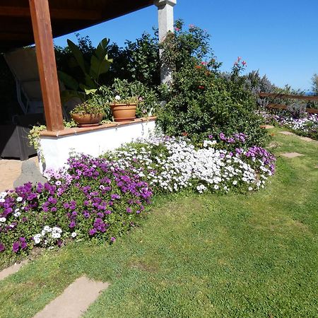 Comino Alto Agriturismo E Appartamenti Синискола Экстерьер фото