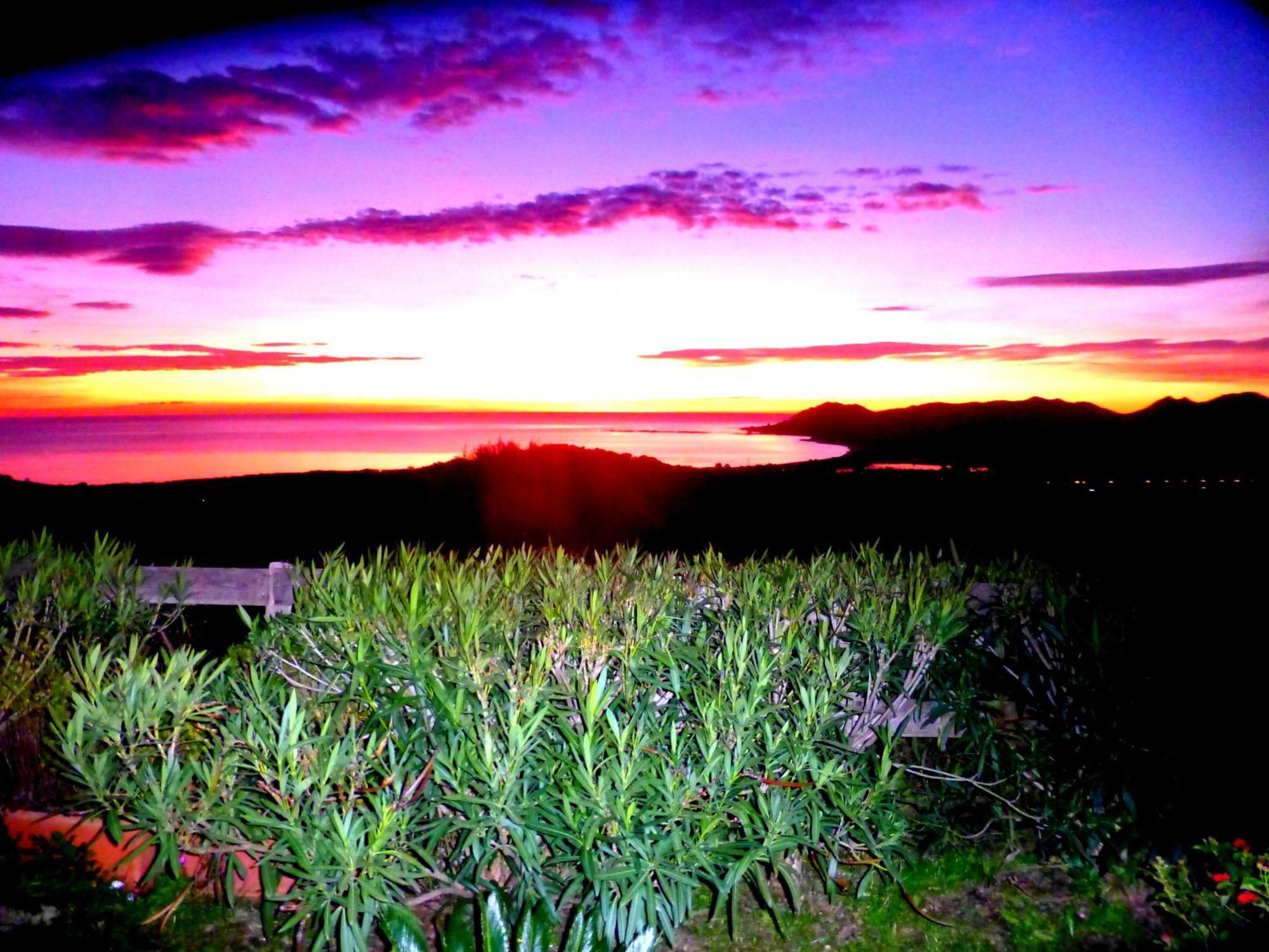 Comino Alto Agriturismo E Appartamenti Синискола Экстерьер фото