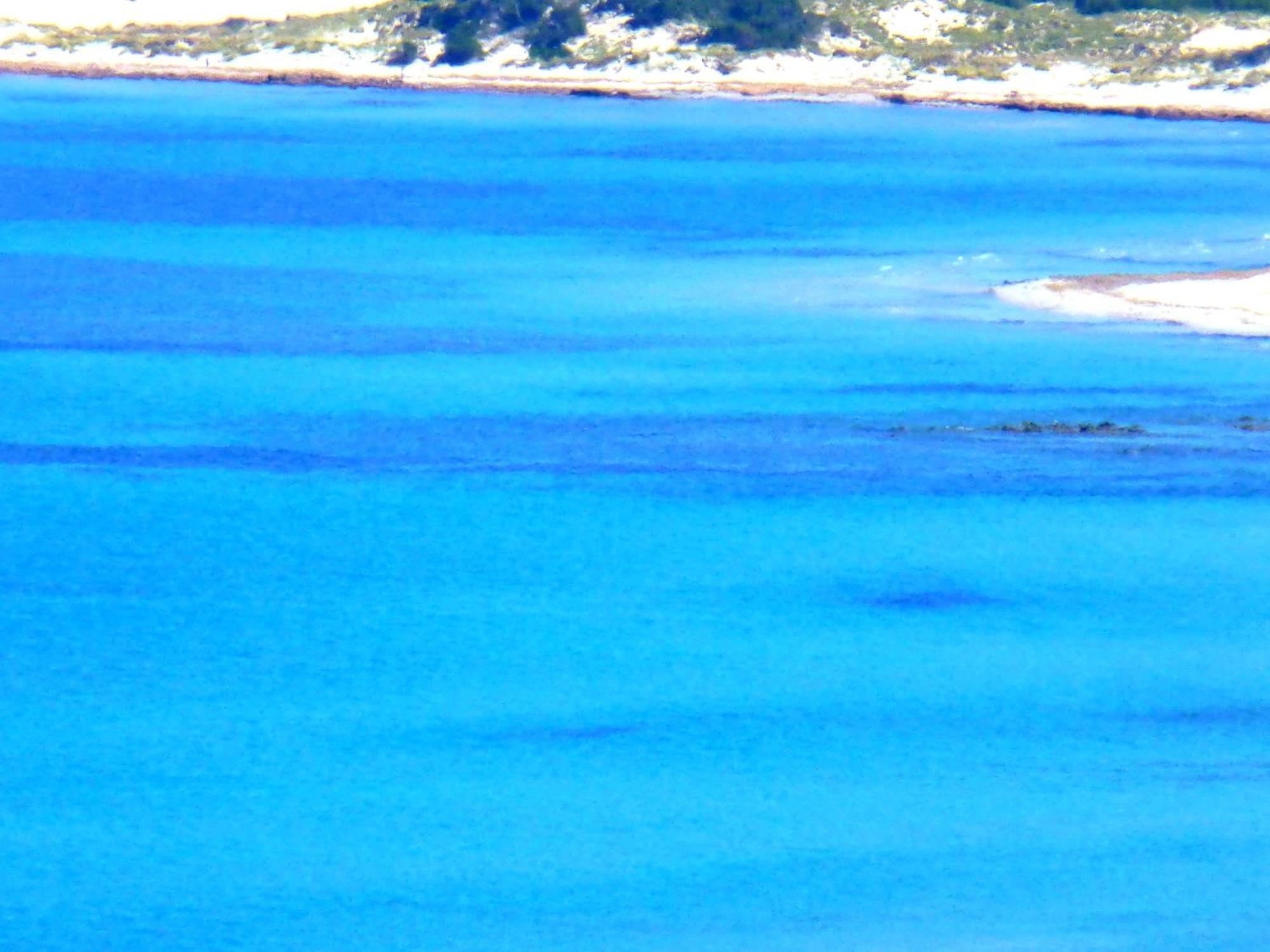 Comino Alto Agriturismo E Appartamenti Синискола Экстерьер фото