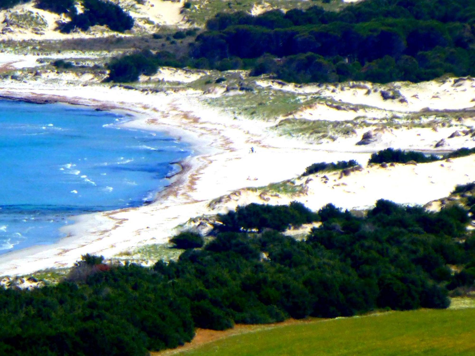 Comino Alto Agriturismo E Appartamenti Синискола Экстерьер фото