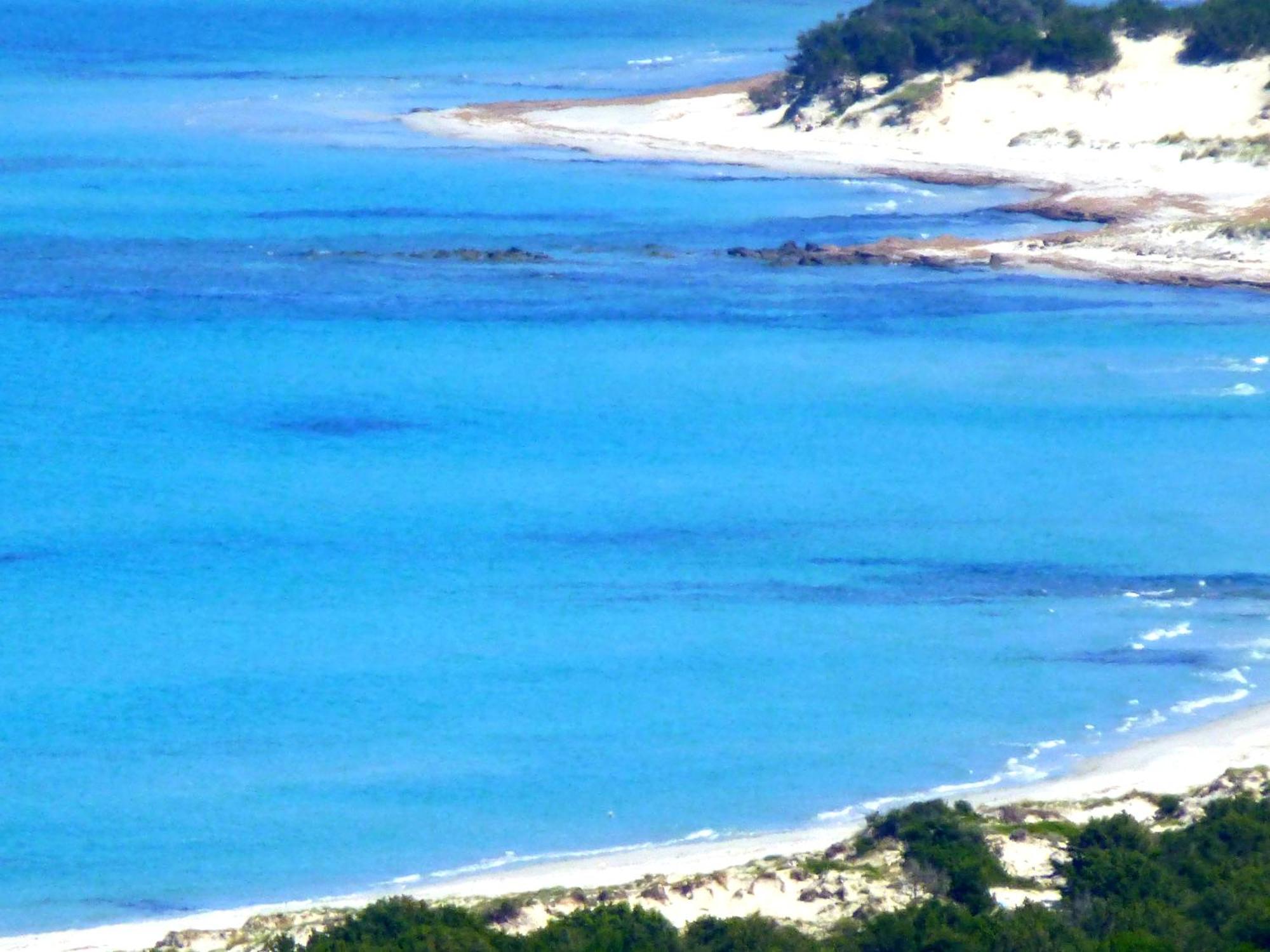 Comino Alto Agriturismo E Appartamenti Синискола Экстерьер фото