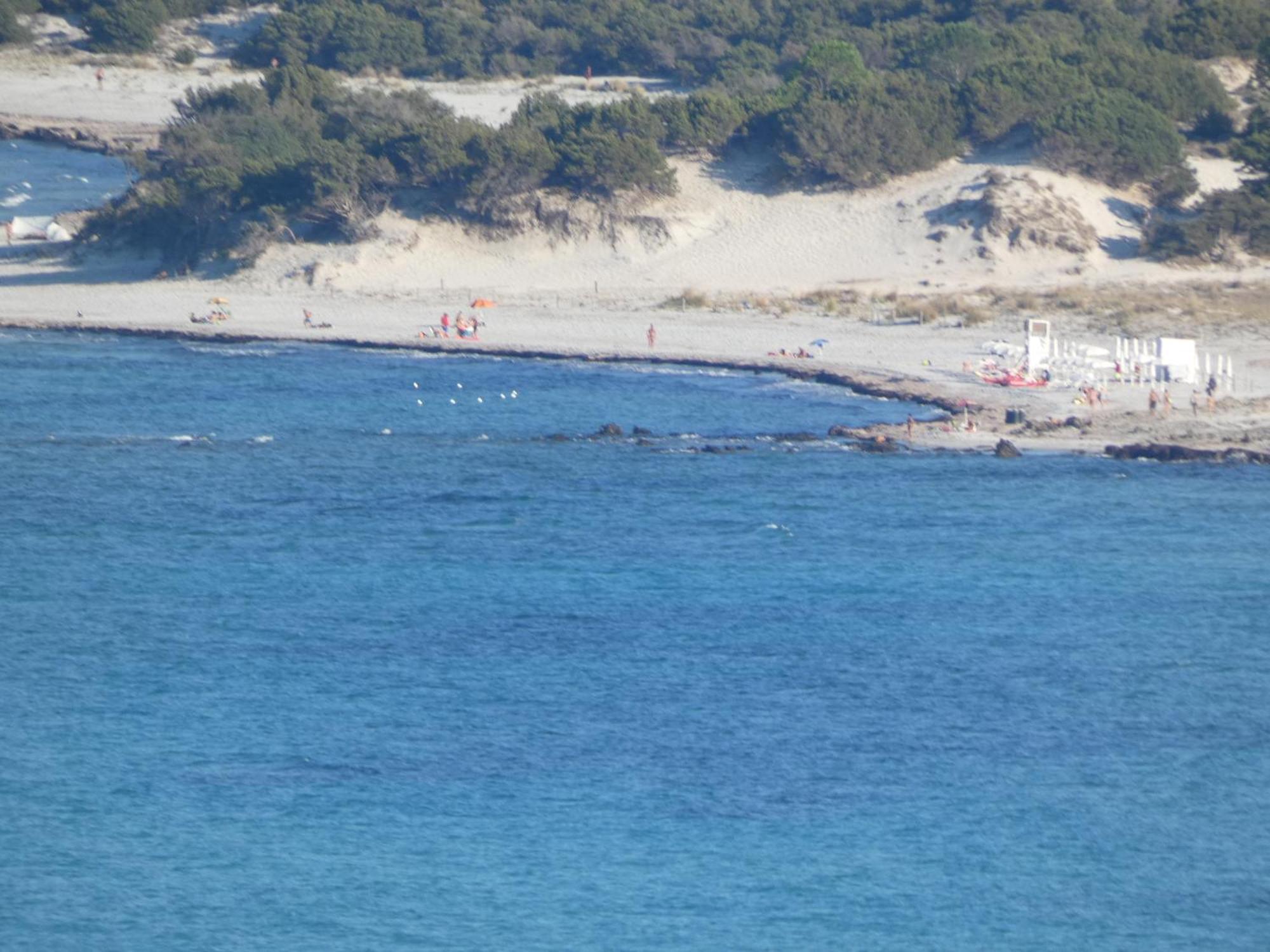 Comino Alto Agriturismo E Appartamenti Синискола Экстерьер фото