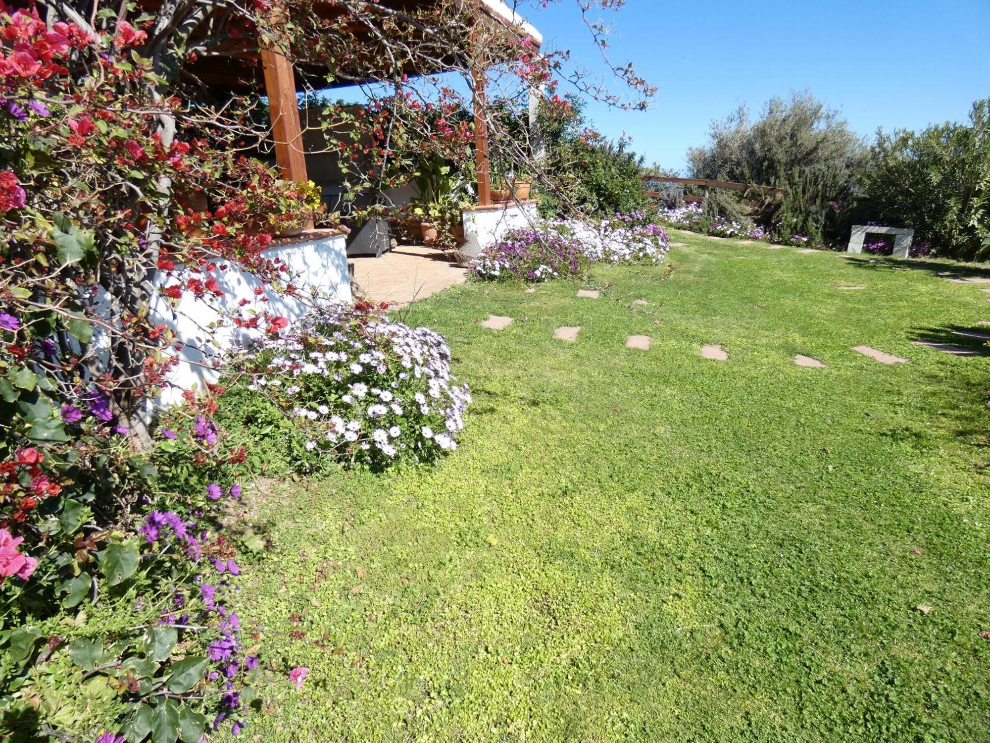 Comino Alto Agriturismo E Appartamenti Синискола Экстерьер фото