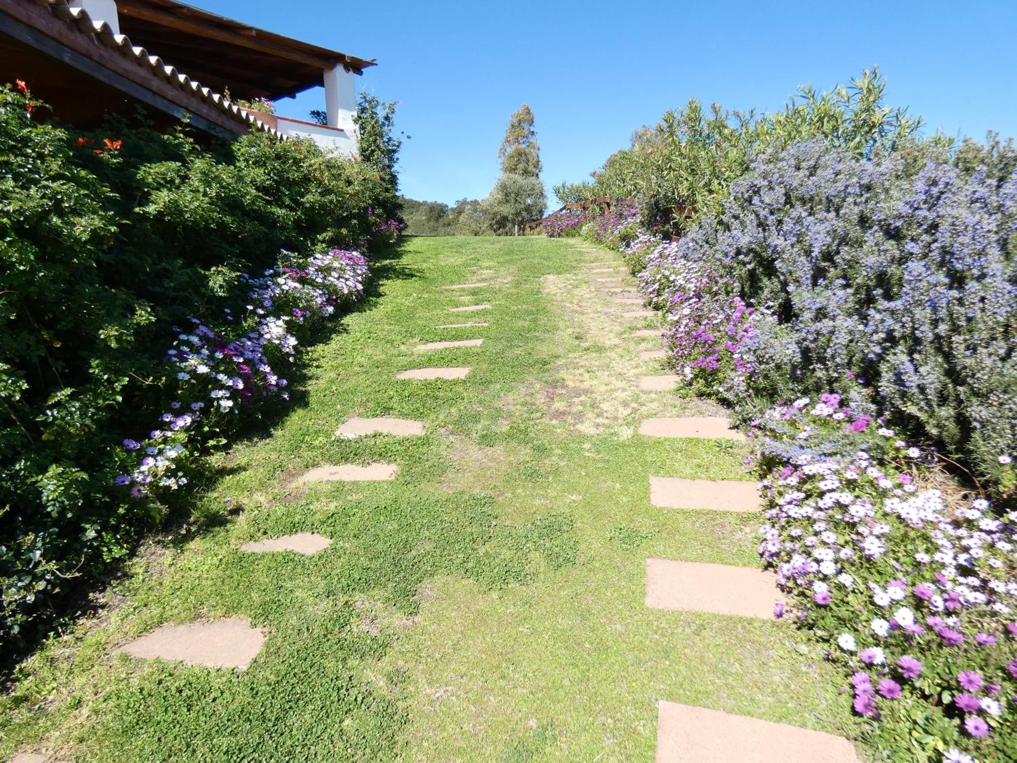 Comino Alto Agriturismo E Appartamenti Синискола Экстерьер фото