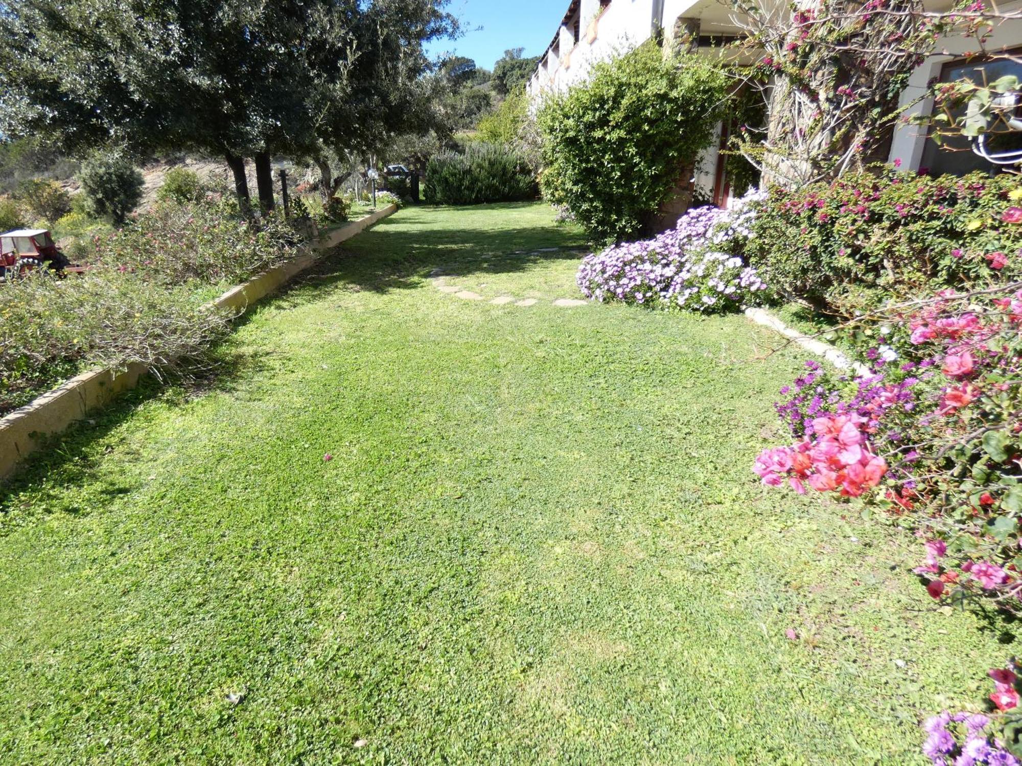 Comino Alto Agriturismo E Appartamenti Синискола Экстерьер фото
